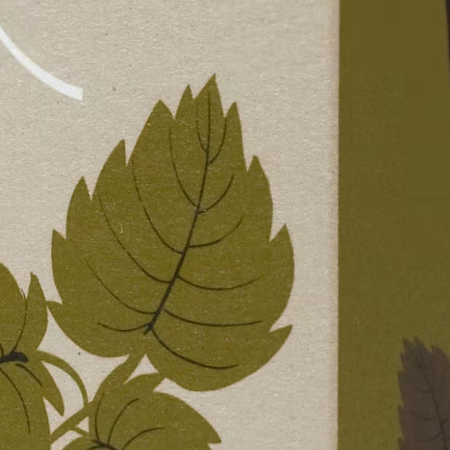 Clipper Nettle Infusion Tea x20 Bags