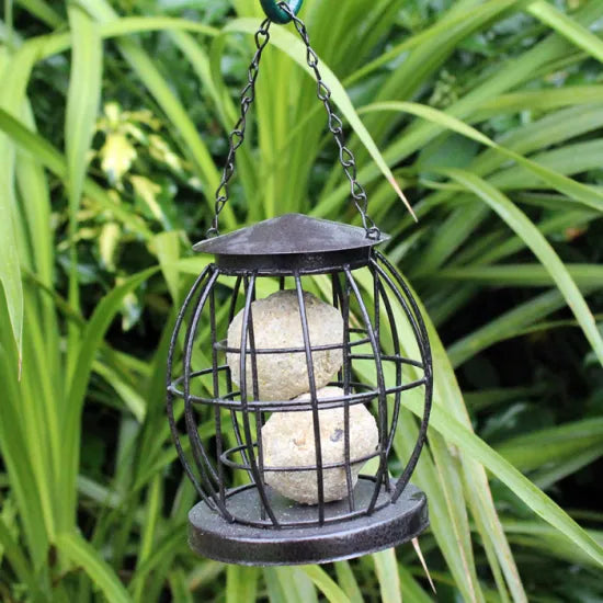 Natures Market Squirrel Resistant Mini Lantern Suet Ball Bird Feeder