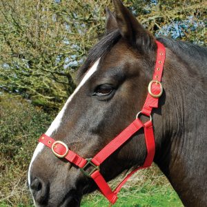 Rhinegold, Nylon Head Collar