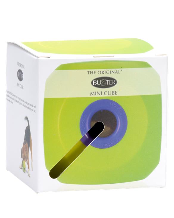 Buster Cube