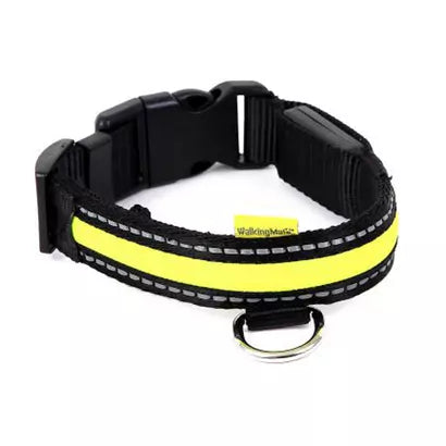 AniMate LED Adjustable Dog Collar Medium 36-51cm
