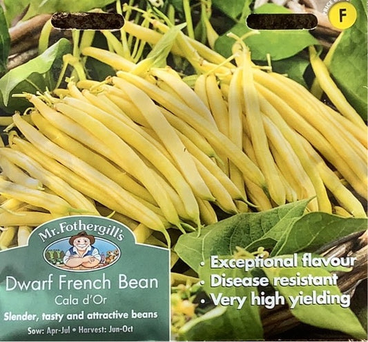 Dwarf french Bean cala d'Or Mr.Fothergills