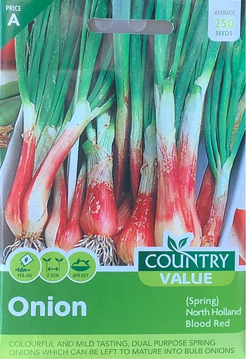 North Holland Blood Red Onion Seeds, Country Value