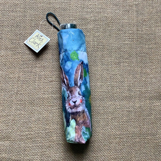 Alex Clark, Little Rabbits Umbrella