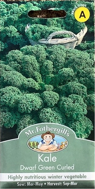 Kale Dwarf Green Curled Mr.Fothergills