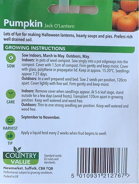 Jack O'Lantern Pumpkin Seeds, Country Value