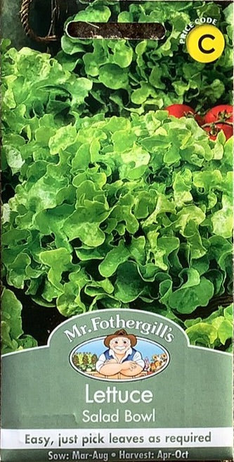 Lettuce Salad Bowl Mr. Fothergills