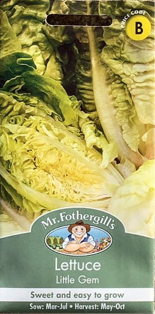 Lettuce Little Gem Mr. Fothergills