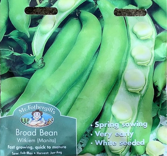 Broad Bean Witkiem (Manita) Mr.Fothergills