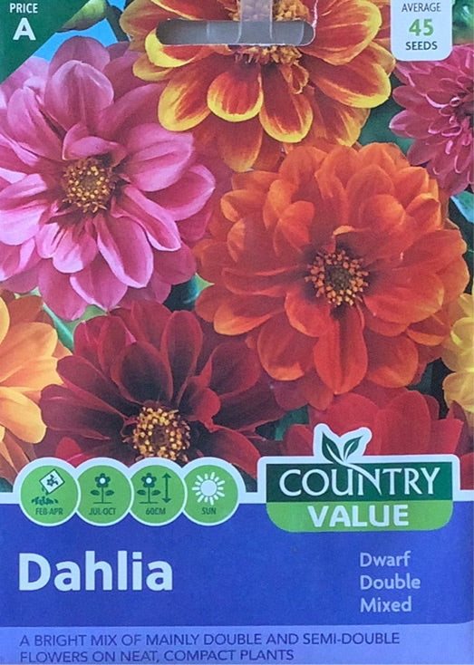 Dahlia Seeds, Country Value