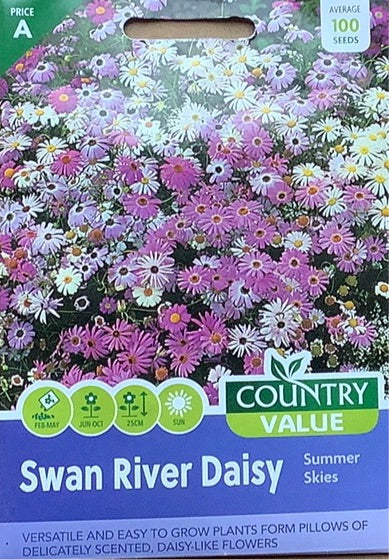 Swan River Daisy Seeds, Country Value
