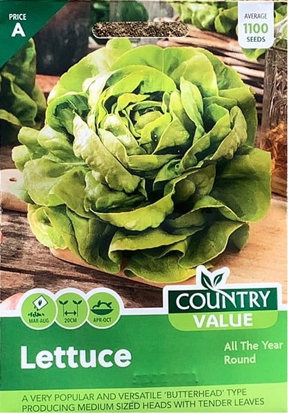 Lettuce All The Year Round Seeds, Country Value