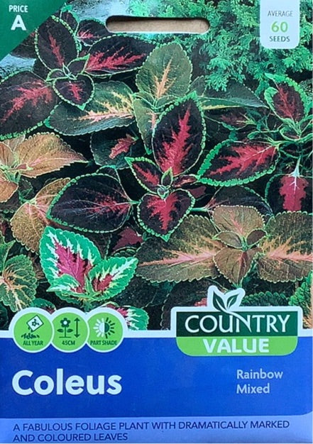 Coleus Seeds, Country Value