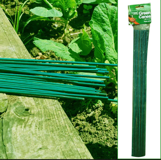Kingfisher Growing Canes x20