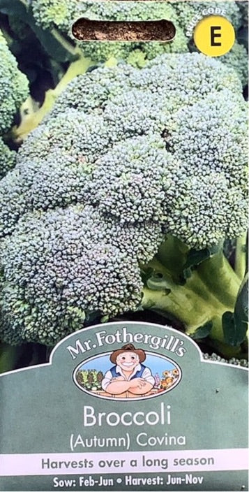 Broccoli (autumn) Covina Mr.Fothergills