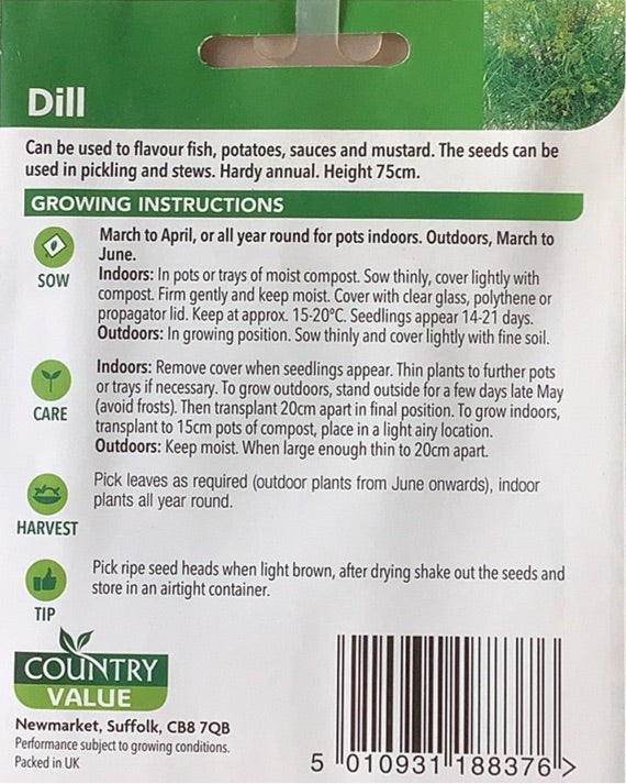 Dill Seeds, Country Value