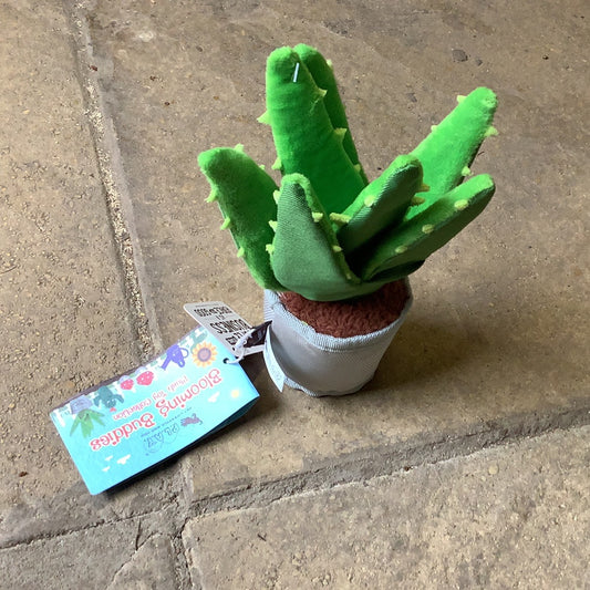 Blooming Buddies, Aloe Vera Dog Toy