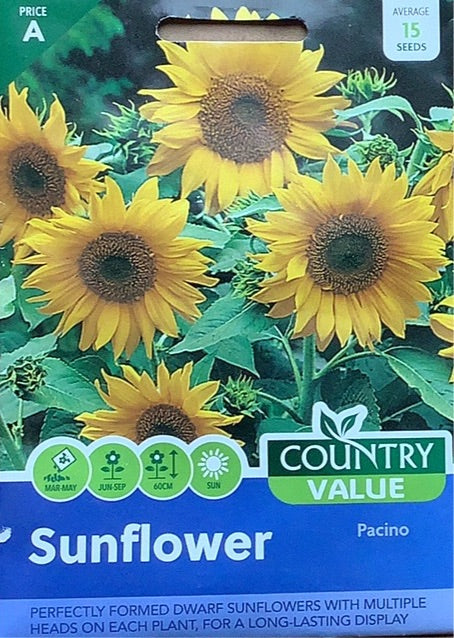 Sunflower Pacino Seeds,Country Value