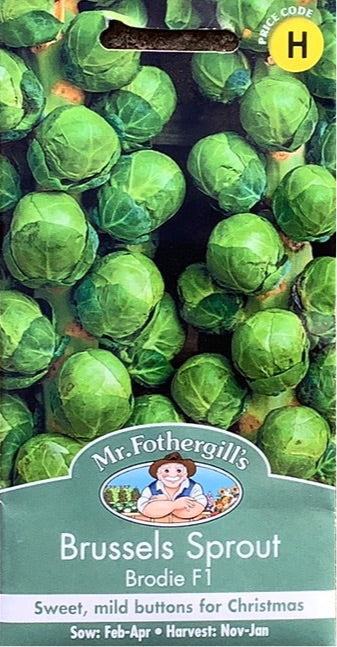 Brussels Sprout Brodie F1 Mr.Fothergills