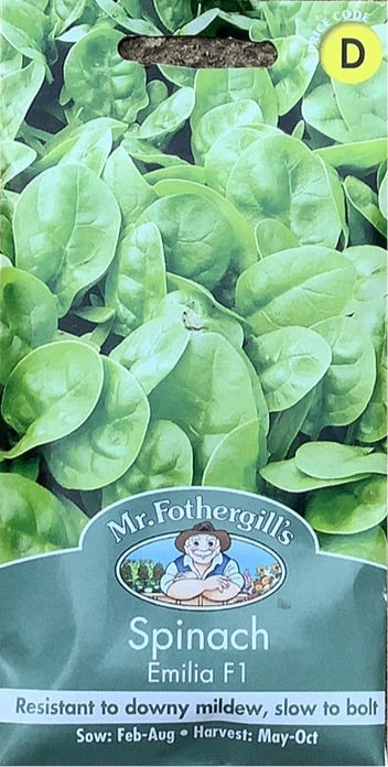 Spinach Emilia F1 Mr. Fothergills