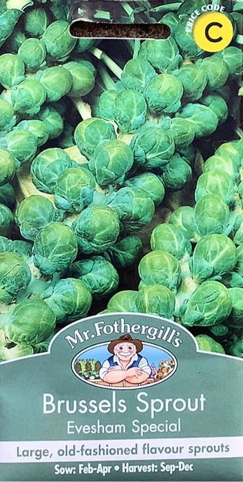 Brussels Sprout Evesham Special Mr.Fothergills