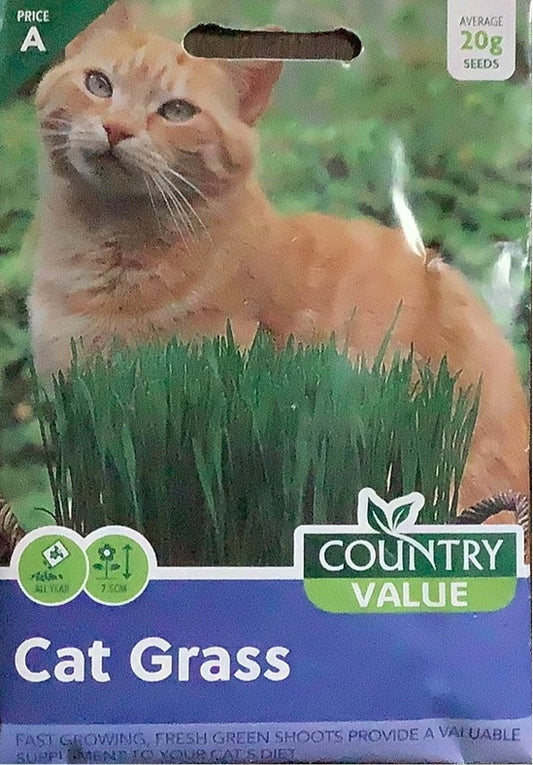 Cat Grass Seeds, Country Value