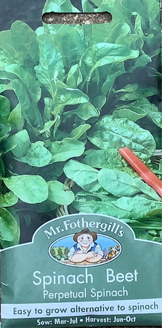 Spinach Beet Perpetual Spinach Mr. Fothergills