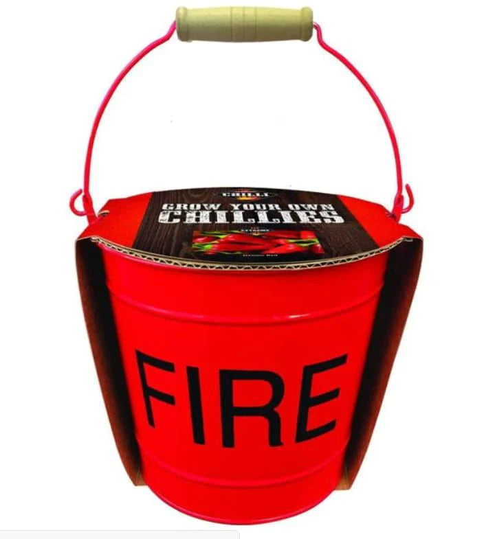 Grow Your Own Chillies Fire Bucket