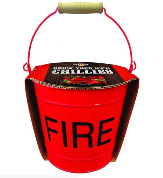 Grow Your Own Chillies Fire Bucket